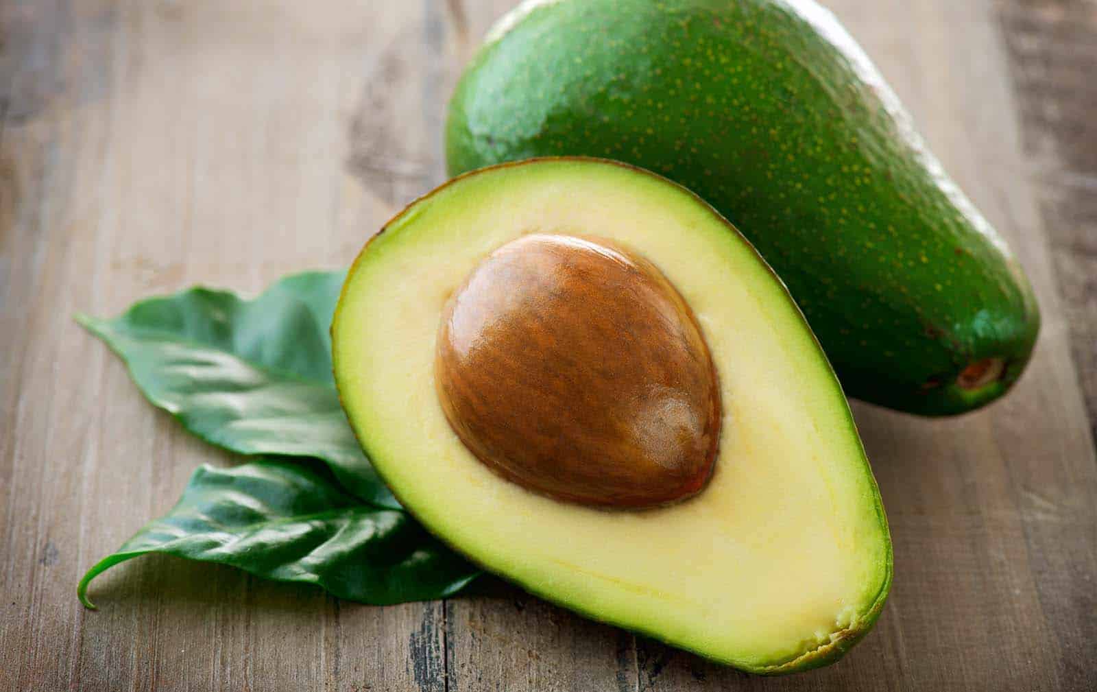 Gastrodontti tutkii: Avokado
