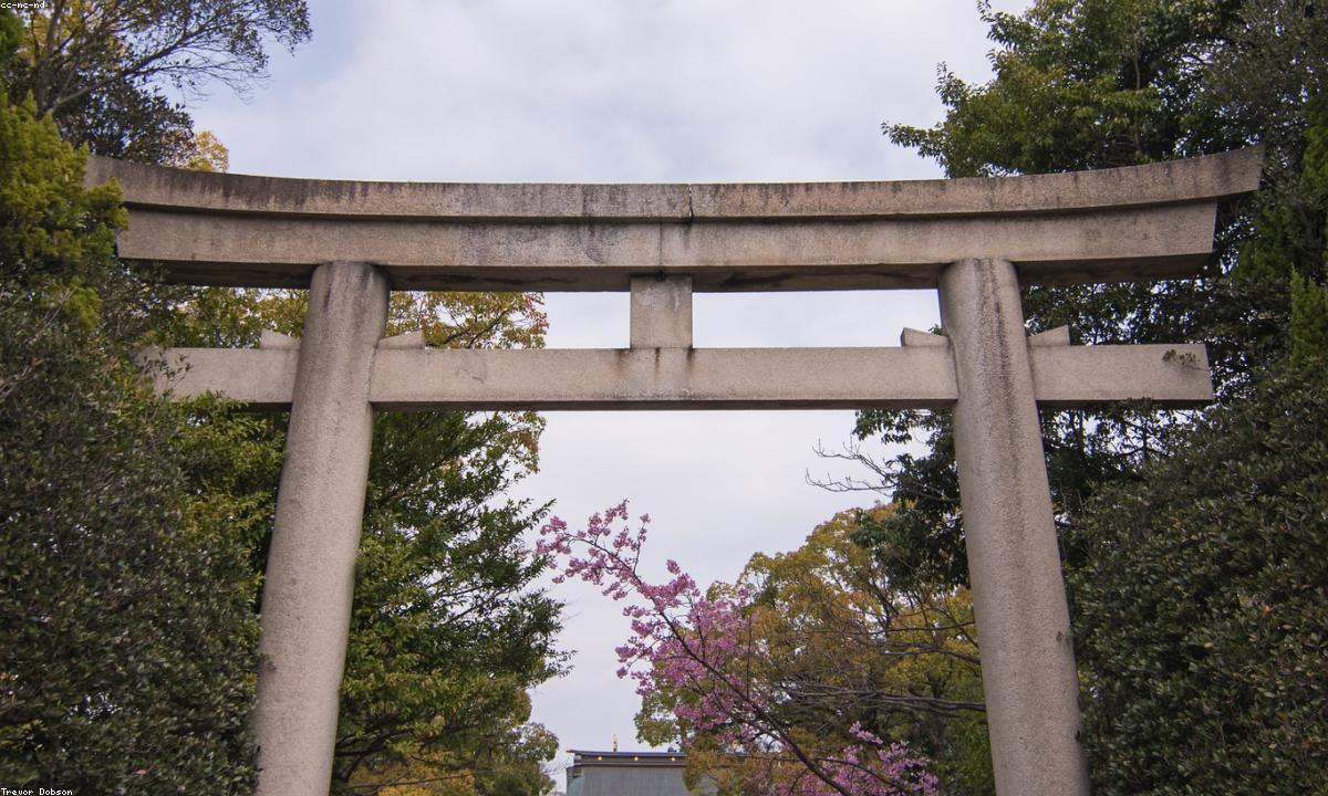 Himeji-linnan valkea hahmo ja puolustusarkkitehtuuri