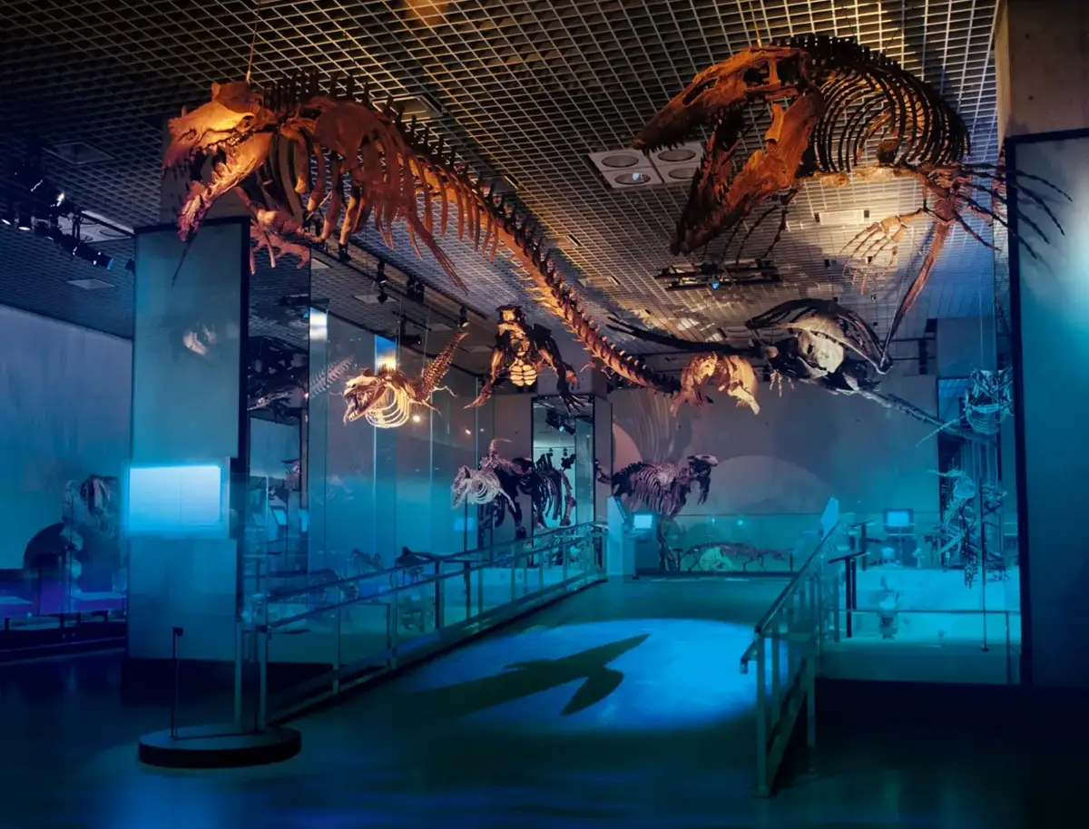 National museum of nature and science