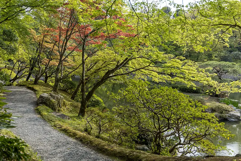 nijoo-garden