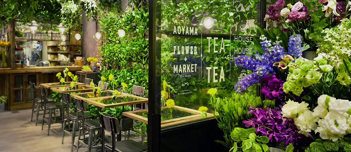 teahouse_main